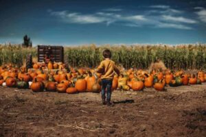 Fall Outdoor Activities for Kids 9 Blog