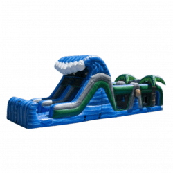 Blue Nile Obstacle Course with Dual Slide