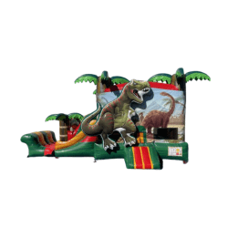 Dinosaur Bounce and Slide